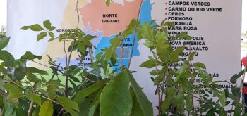 Cidernorte apoia viranda Ambiental dos municípios  norte goiano.